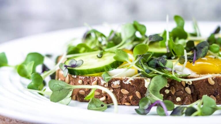 homegrown microgreens sandwich ideas