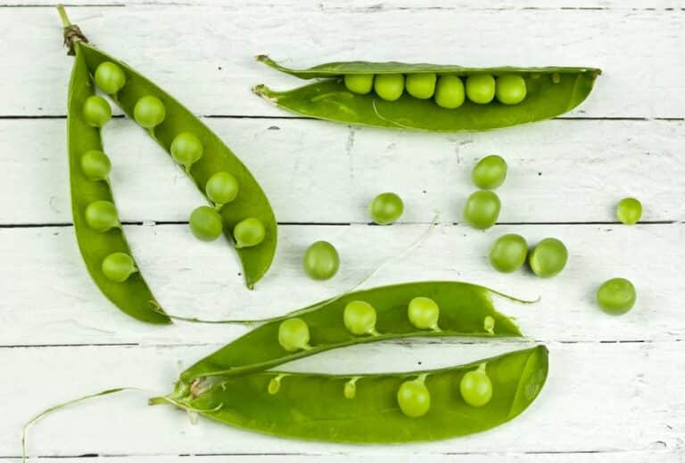pea seeds for microgreens
