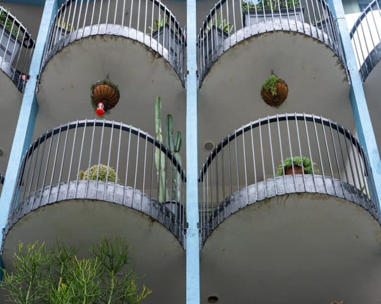 Urban vertical garden