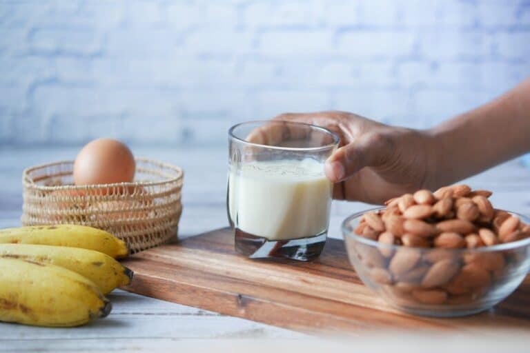 healthy high protein snack ideas